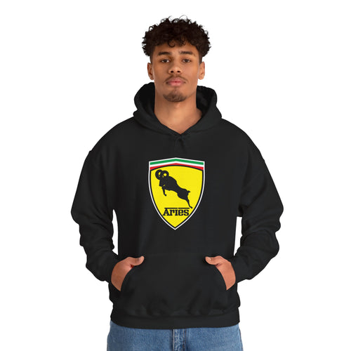 Aries (E) Ferrari Edition Hooded Sweatshirt