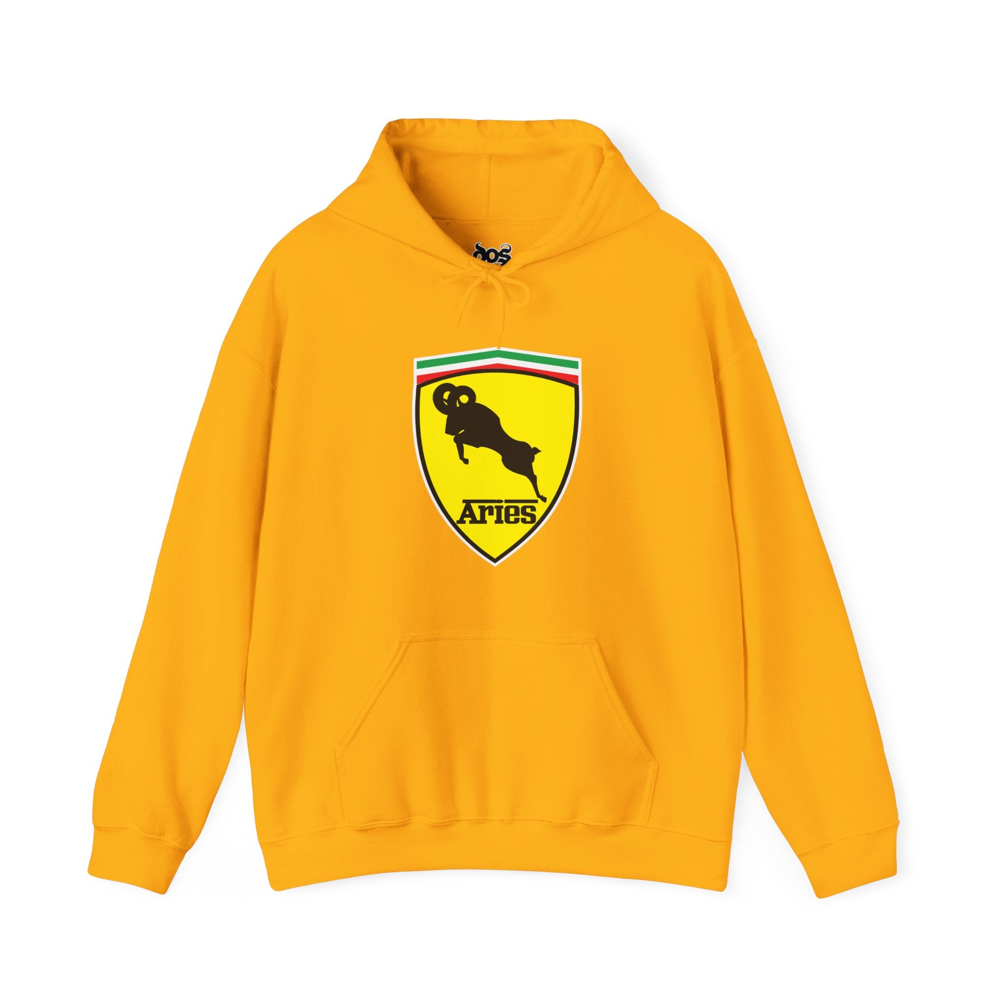 Aries (E) Ferrari Edition Hooded Sweatshirt